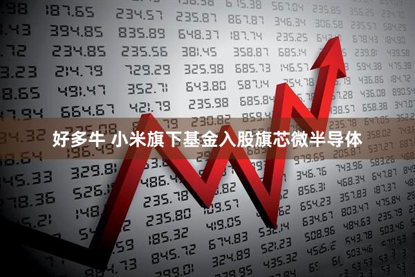 好多牛 小米旗下基金入股旗芯微半导体