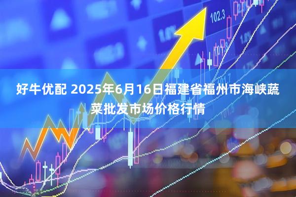 好牛优配 2025年6月16日福建省福州市海峡蔬菜批发市场价格行情