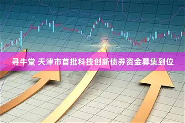 寻牛堂 天津市首批科技创新债券资金募集到位
